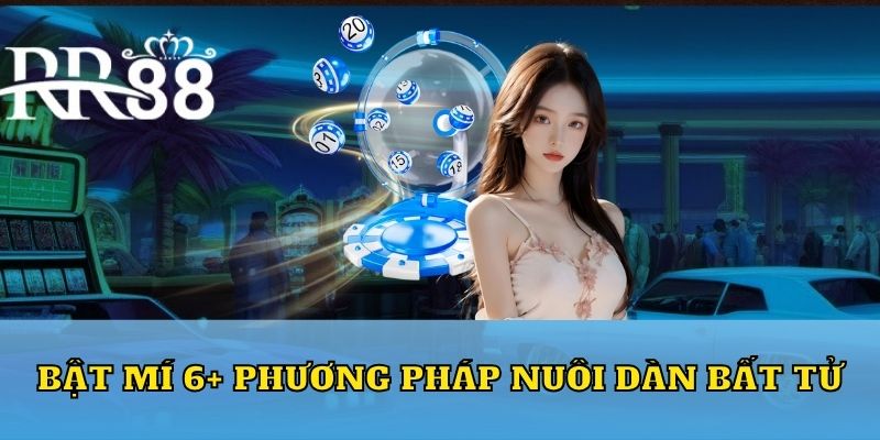 Mẹo nuôi dàn đề hỗ trợ hội viên RR88 đạt được mục tiêu